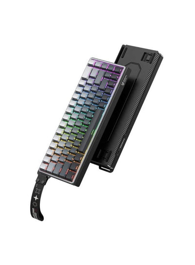 G69 RGB Wired Magnetic Switch Gaming Keyboard with 68 Keys, 8KHz Polling Rate, Noise-Reduced Design, Type-C Detachable C