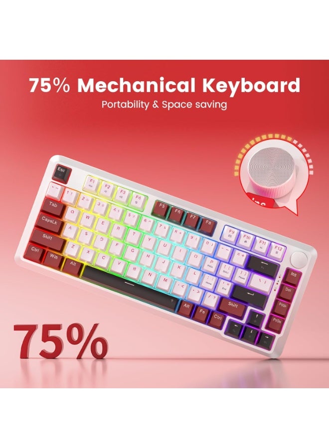 البنية الداخلية لكيبورد Redragon K721