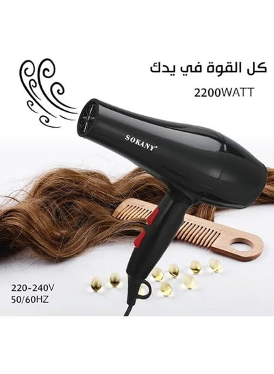 RCY-173i Professional Hair Dryer High Power with 3 Temperature Modes & 2 Speed Levels, Overheat Protection, Lightweight