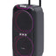 AH-12300 Professional Dual 12 Inch Battery Powered Party Speaker System with Disco LED Lights and Remote Control Portabl