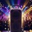 AH-12300 Professional Dual 12 Inch Battery Powered Party Speaker System with Disco LED Lights and Remote Control Portabl