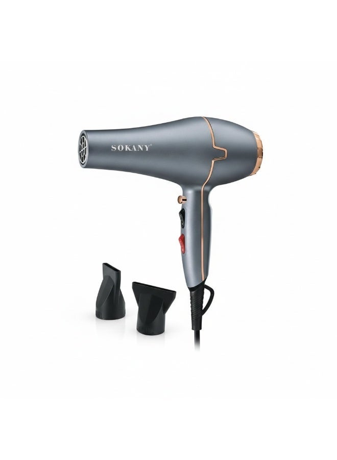 استشوار سوكاني SK-8807
