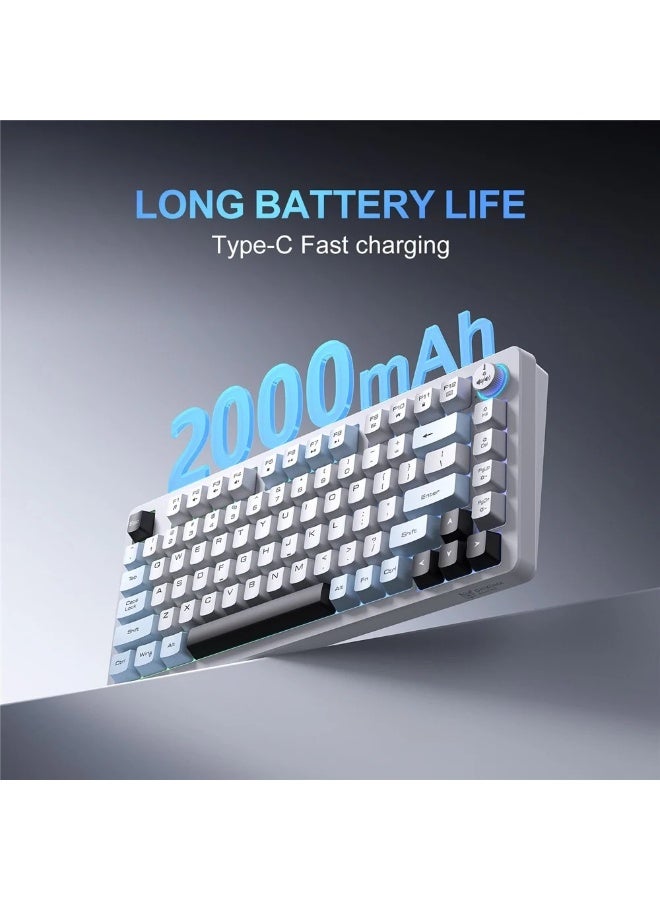 MT501 81-Key RGB Gaming Keyboard – 3-Mode USB-C, 2.4GHz & Bluetooth, 75% Compact Layout, English- Key Layout, Silent Mem