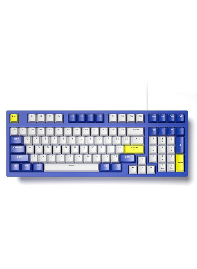 Forev Gaming Keyboard – 98% Compact USB / USB Type-C Wired Mechanical Keyboard – RGB Backlighted – 98 ENG Keys PBT Keycaps – Blue Switches – For Mac / Win | Blue ,White