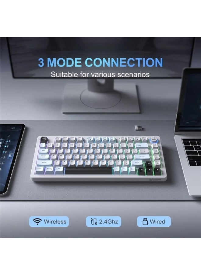 MT501 81-Key RGB Gaming Keyboard – 3-Mode USB-C, 2.4GHz & Bluetooth, 75% Compact Layout, English- Key Layout, Silent Mem