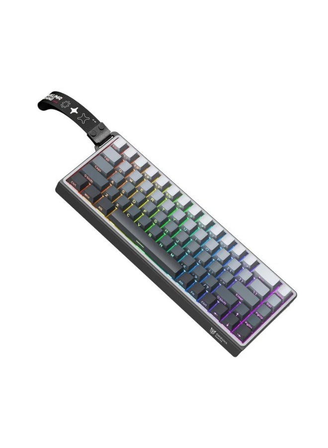 G69 RGB Wired Magnetic Switch Gaming Keyboard with 68 Keys, 8KHz Polling Rate, Noise-Reduced Design, Type-C Detachable C