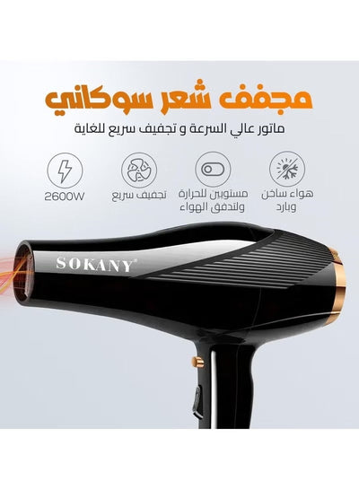 SK-2214 Professional Hair Dryer 2600W with Cool Shot, AC Motor, 2 Speeds & 4 Heat Settings, Hot & Cold Air, Lightweight 