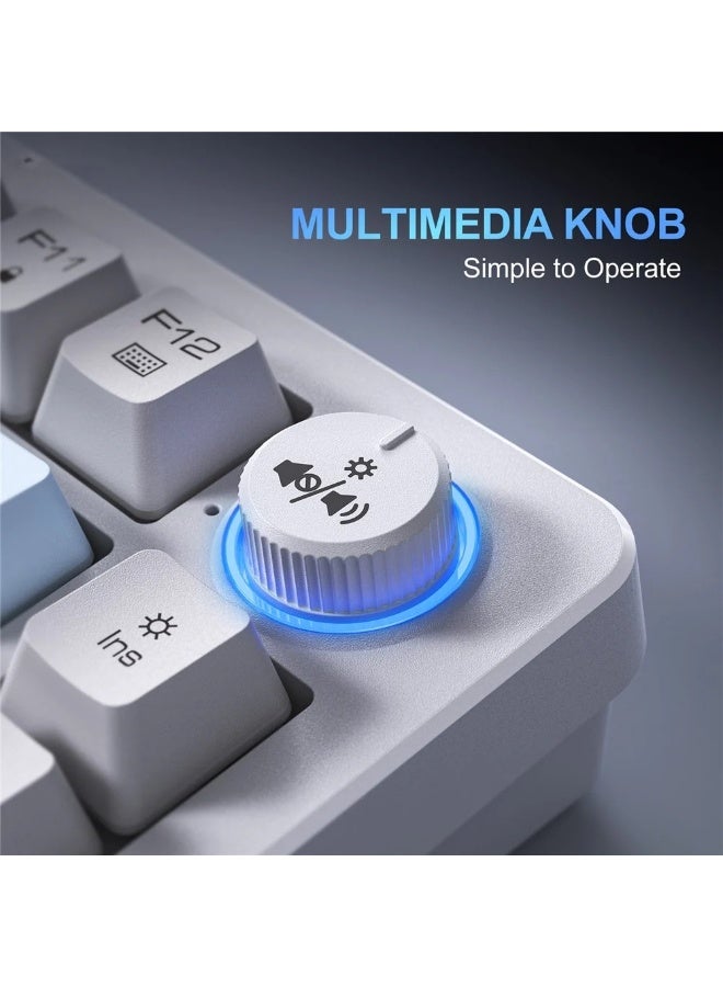 MT501 81-Key RGB Gaming Keyboard – 3-Mode USB-C, 2.4GHz & Bluetooth, 75% Compact Layout, English- Key Layout, Silent Mem