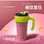 Insulated Tumbler Mug with Handle, Straw & Leak-Proof Lid – 800ML Large Capacity Stainless Steel Cup Vacuum Insulated Co