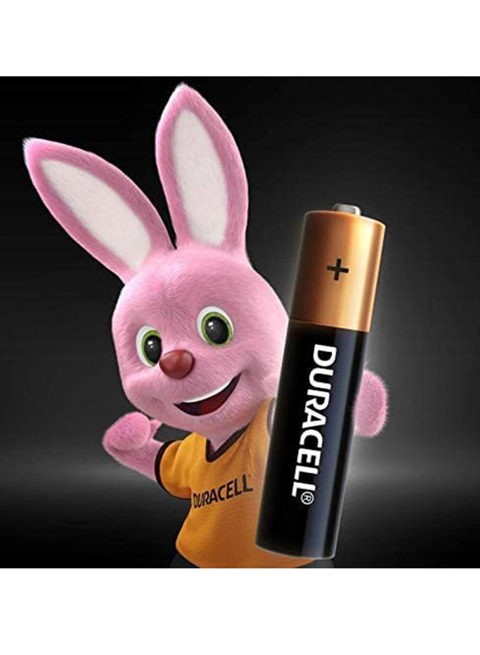 Duracell 12-Piece Superior Nylon Top Closure Type AA Alkaline Batteries Multicolour ( Longer 100% )