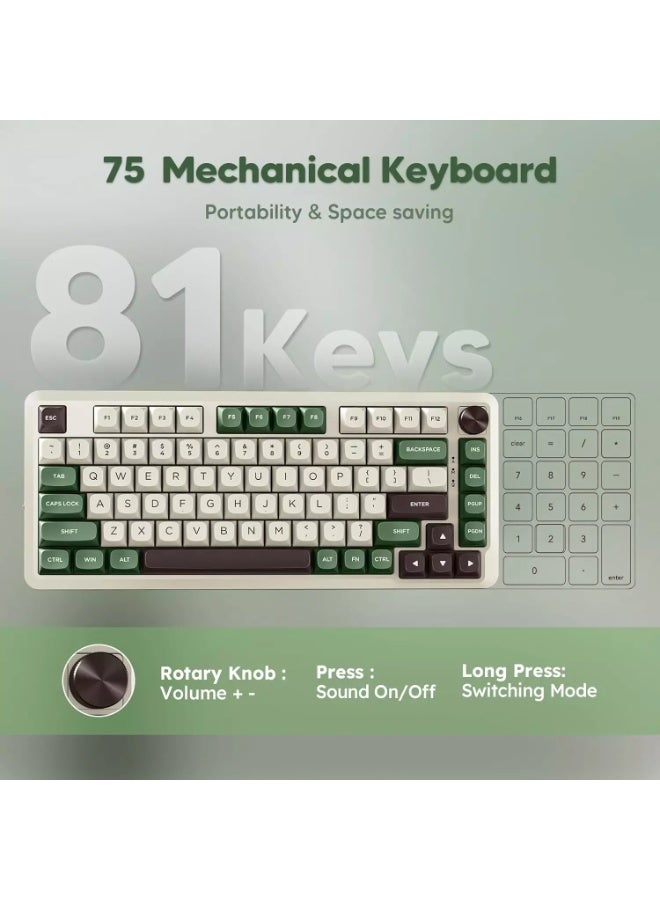 كيبورد جيمنج REDRAGON K681CGC Cyrus Pro ميكانيكال 75% Gasket هوت سواب RGB