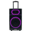 AH-12100 Portable 12 Inch Rechargeable Party Speaker with Disco LED Lights and Remote Control High Power Audio Speaker S