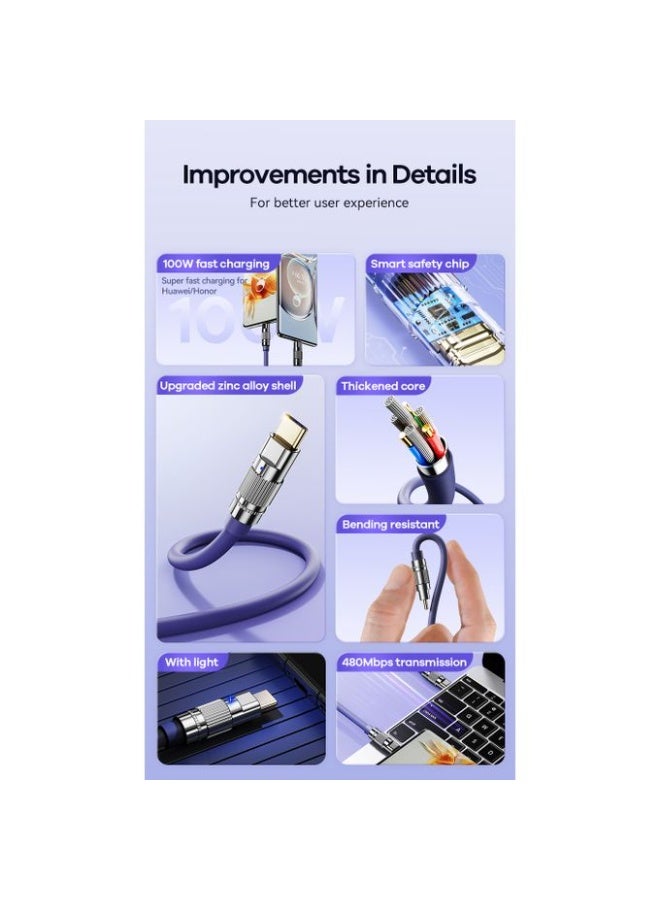 RC-C055 Fast Charging Data Cable , Type-C to Type-C 100W Cable, Zinc Alloy & TPE Thickened Design with Smart Chip, High 