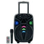 سبيكر كاريوكي Platinum AH-801 مقاس 8 إنش قوة 10W RMS إضاءة LED أسود