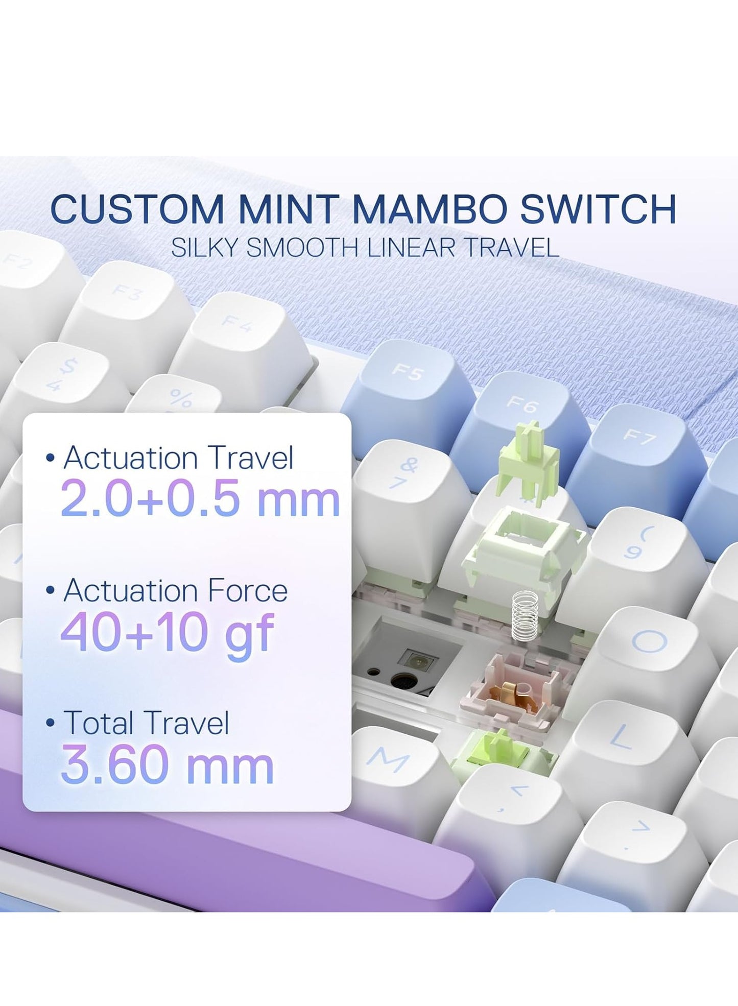 REDRAGON Gaming Keyboard K707 PRO - RGB with 80% Wireless Gasket, 3 Modes and 87 Keys, TKL Mechanical Keyboard with Hot Swap Socket, PBT Round Keycaps and Noise Damping