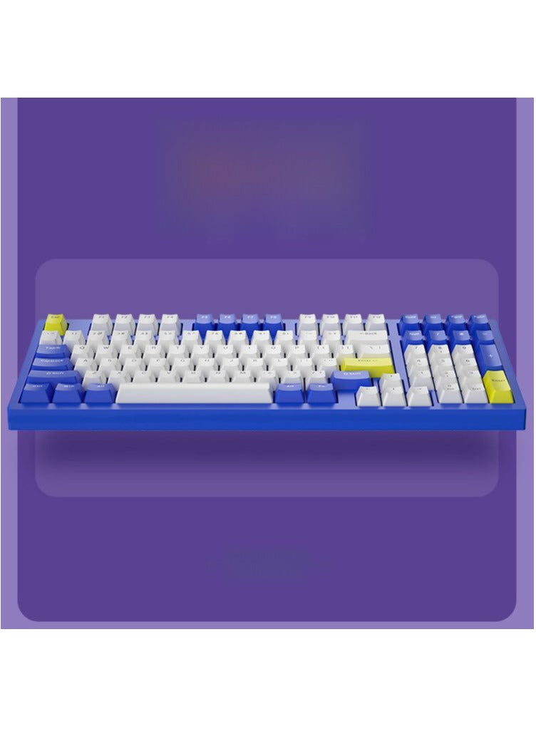 Forev Gaming Keyboard – 98% Compact USB / USB Type-C Wired Mechanical Keyboard – RGB Backlighted – 98 ENG Keys PBT Keycaps – Blue Switches – For Mac / Win | Blue ,White