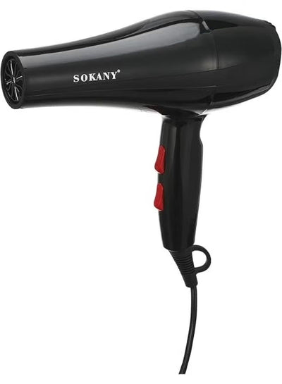 RCY-173i Professional Hair Dryer High Power with 3 Temperature Modes & 2 Speed Levels, Overheat Protection, Lightweight 