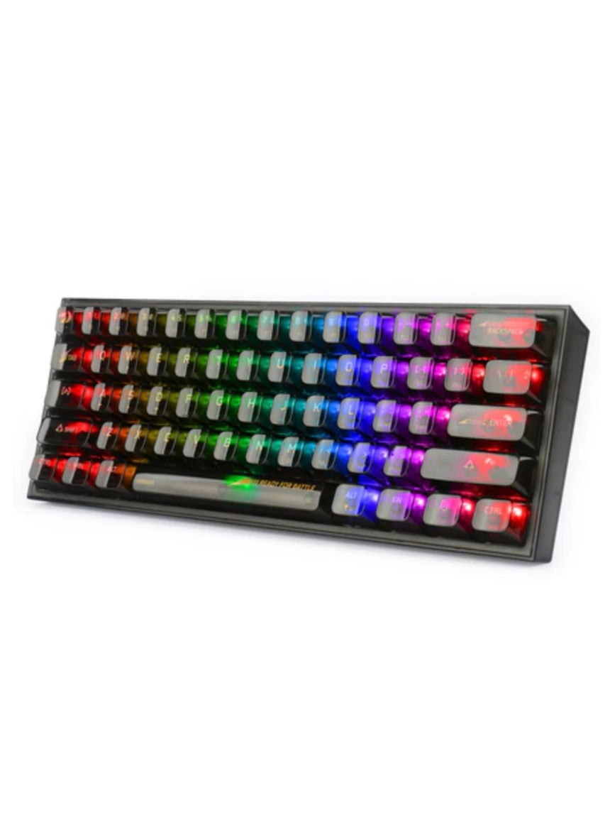 REDRAGON K617CTB-RGB 60% Wired RGB Gaming Keyboard, 61 Keys Compact Full-Transparent Mechanical Keyboard