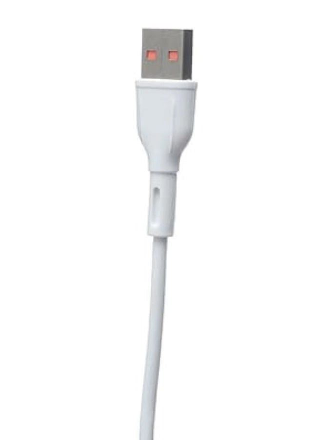 شاحن X-SCOOT CH242 سريع 25W مع كابل Micro USB أبيض