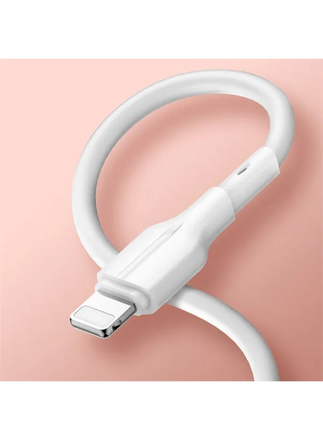 LS841 USB-A to Lightning Fast Charging Cable 1M, 25W High Speed iPhone Charger Cable, USB to Lightning Data Sync Cord, D