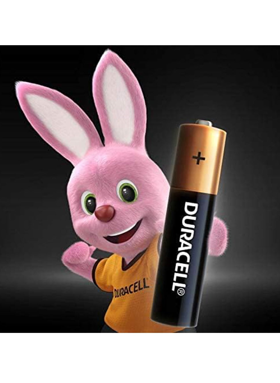 Duracell 12-Piece Superior Nylon Top Closure Type AAA Alkaline Batteries Multicolour ( Longer 100% )