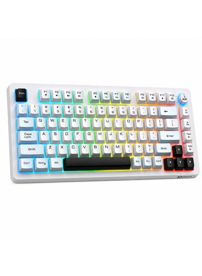 MT501 81-Key RGB Gaming Keyboard – 3-Mode USB-C, 2.4GHz & Bluetooth, 75% Compact Layout, English- Key Layout, Silent Mem