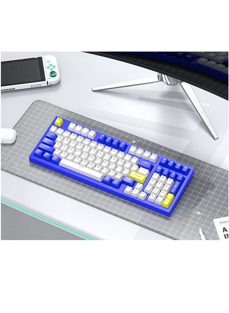 Forev Gaming Keyboard – 98% Compact USB / USB Type-C Wired Mechanical Keyboard – RGB Backlighted – 98 ENG Keys PBT Keycaps – Blue Switches – For Mac / Win | Blue ,White