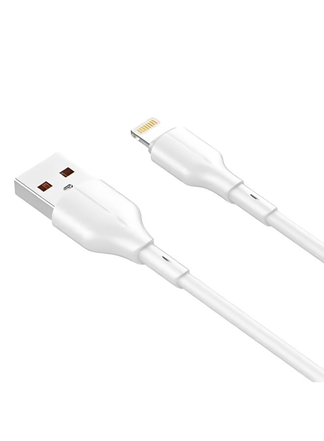 LS841 USB-A to Lightning Fast Charging Cable 1M, 25W High Speed iPhone Charger Cable, USB to Lightning Data Sync Cord, D